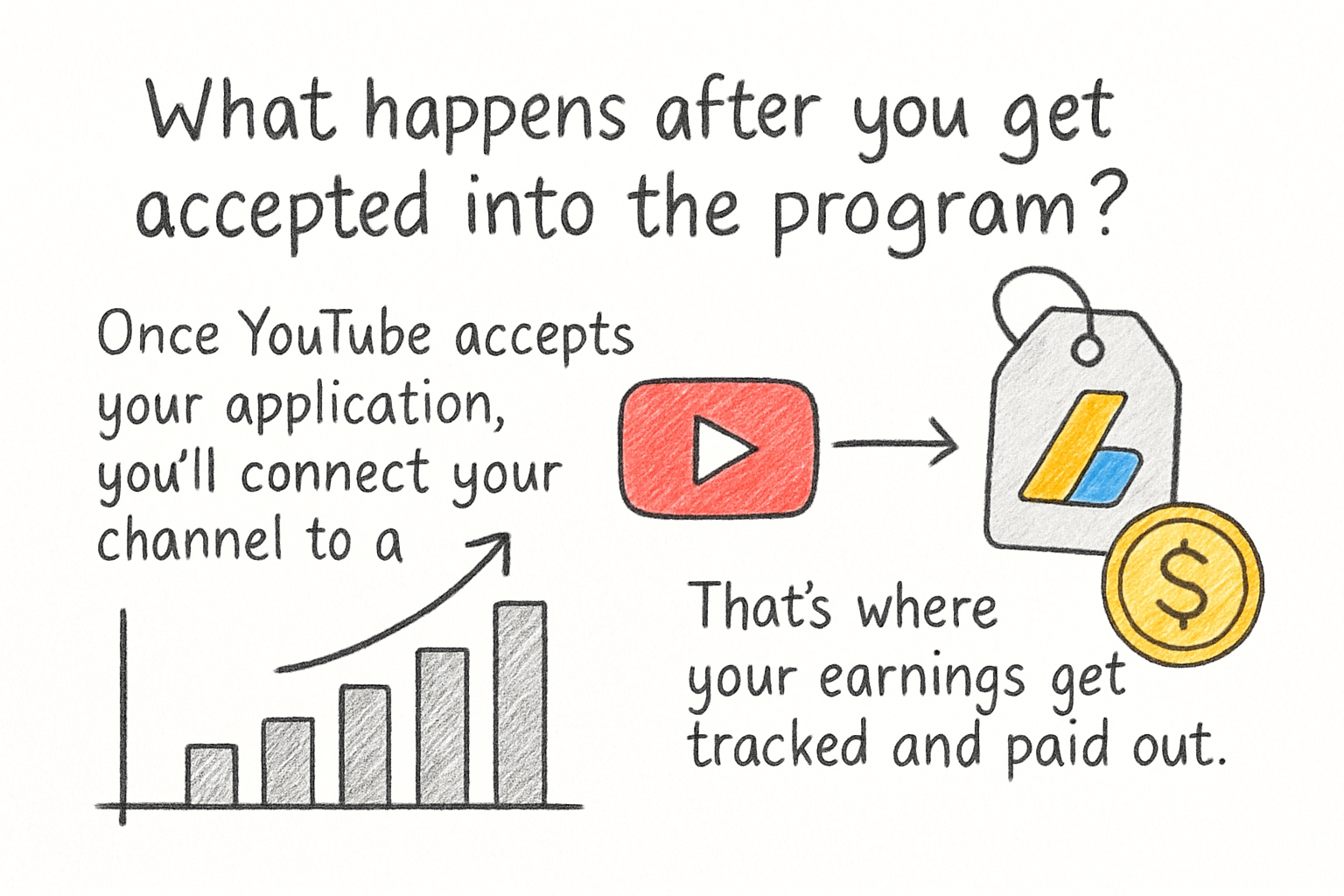 Infographic: What happens after you get accepted into the program?